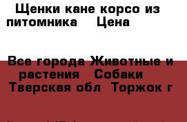 Щенки кане корсо из  питомника! › Цена ­ 65 000 - Все города Животные и растения » Собаки   . Тверская обл.,Торжок г.